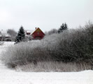 Ferienhaus zum Schäfer, Winteransicht vom Wäldchen